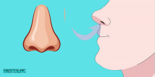 Your nose is the first indicator if you are approaching death